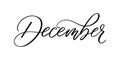 December- Handwritten inscription in calligraphic style on a white background. Vector illustration.