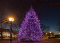 Christmas tree and festive light poles at night time Royalty Free Stock Photo