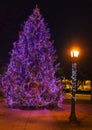 Christmas tree and festive light pole at night time Royalty Free Stock Photo