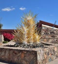 Scottsdale, AZ - Taliesin West: Chihuly Sculpture `Alabaster And Amber Spire Towers` Royalty Free Stock Photo