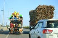 December 18 2022 - Karnataka, India: truck heavily overloaded with sugar cane is going to the factory