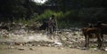 December, 2022, Raipur, India: Man cleaning dumping area, municipality worker, cleaning staff, polluted area, pollution, Royalty Free Stock Photo