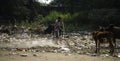 December, 2022, Raipur, India: Man sweeping the trash with broom and polyhthene big garbage area, Man cleaning the polluted area, Royalty Free Stock Photo