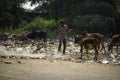 December, 2022, Raipur, India: Man sweeping the trash with broom and polyhthene big garbage area, Man cleaning the polluted area, Royalty Free Stock Photo