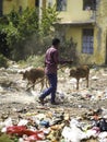 December, 2022, Raipur, India: Man sweeping the trash with broom and polyhthene big garbage area, Man cleaning the polluted area, Royalty Free Stock Photo