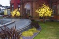 Christmas lights at the entrance to the luxurious Slieve Donard Hotel