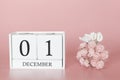 December 01st. Day 1 of month. Calendar cube on modern pink background, concept of bussines and an importent event