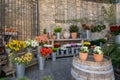 20 December 2019, Tbilisi, Georgia - beautiful fresh flowers on a street flower market