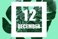 december 12th. Day 12 of month,Date text in white frame against tropical monstera leaf on green background winter month