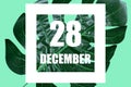 december 28th. Day 28 of month,Date text in white frame against tropical monstera leaf on green background winter month