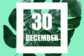 december 30th. Day 30 of month,Date text in white frame against tropical monstera leaf on green background winter month