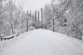 December 13, 2018. White snow-covered road goes to the Menorah monument - a monument dedicated to the murder of Jewish civilians