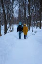 December winter park with a lot of snow, ordinary outdoor view, two person boy and girl walking with holding hands back to camera Royalty Free Stock Photo