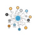 Decentralized Cryptocurrency Network Diagram Royalty Free Stock Photo
