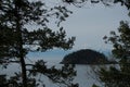 Deception Island behind cedar branches
