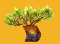 Deciduous bonsai in a curved vase. Beautiful bush in oriental style.