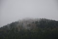 Deciduous and coniferous forest on the hill disappears in the autumn fog and clouds. edible mushrooms can be found in the rains, c Royalty Free Stock Photo