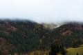 Deciduous and coniferous forest on the hill disappears in the autumn fog and clouds. Royalty Free Stock Photo