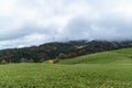 Deciduous and coniferous forest on the hill disappears in the autumn fog, wind mills Royalty Free Stock Photo