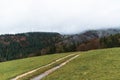 Deciduous and coniferous forest on the hill disappears in the autumn fog, wind mills Royalty Free Stock Photo