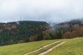 Deciduous and coniferous forest on the hill disappears in the autumn fog, wind mills Royalty Free Stock Photo