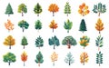 Deciduous and evergreen forest plants icons. Trees collection isolated on white, spruce pine oak ash aspen linden Royalty Free Stock Photo
