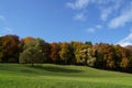 Deciduous forest in autumn in various colors with a meadow in fresh green color and clear blue sky above.