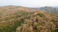 Deciduous forest on mountain near Sirikit Dam Royalty Free Stock Photo