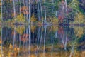 Deciduous forest reflecting in the water