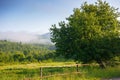 deciduous tree behind the fence by the rural field in morning light Royalty Free Stock Photo