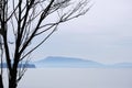 Deciduous tree branches silhouetted against soft blues of Georgia Strait Royalty Free Stock Photo