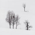 Deciduous trees with bare branches on snow covered hills in winter at Zlatibor mountain in Serbia Royalty Free Stock Photo