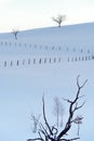 Deciduous trees with bare branches on snow covered hills in winter at Zlatibor mountain in Serbia Royalty Free Stock Photo