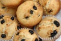 Decilious blueberry muffins Royalty Free Stock Photo