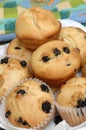 Decilious blueberry muffins Royalty Free Stock Photo
