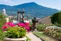 Rose garden, castle gardens, town Decin, North Bohemia, Czech republic