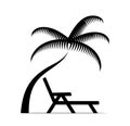 Deck chair under palm tree Royalty Free Stock Photo