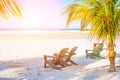 Deck chairs and palm trees on the beach Royalty Free Stock Photo