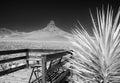 Deck with a view along Historic Route 66 in Arizona Royalty Free Stock Photo