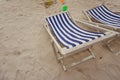 Deckchair chair beach under the tree Royalty Free Stock Photo