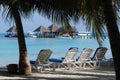 Deckchairs under palmtrees