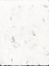 Deckle Edged Hand Made Natural Paper, Texture, Abstract, Structered Natural Paper, Texture, Abstrac Royalty Free Stock Photo
