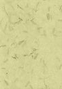 Deckle Edged Natural Wallpaper, Paper, Texture, Abstract,