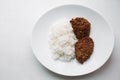 Declicious fried burger meal with white rice on rounded plate.