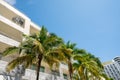 Deco architecture and palm trees Miami Beach FL Royalty Free Stock Photo
