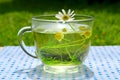 Decoction with the chamomile Royalty Free Stock Photo