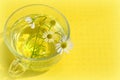 Decoction with the chamomile Royalty Free Stock Photo