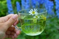 Decoction with the chamomile Royalty Free Stock Photo