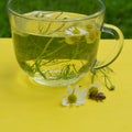 Decoction with the chamomile Royalty Free Stock Photo