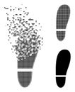 Decomposed Dot and Original Human Foot Print Icon